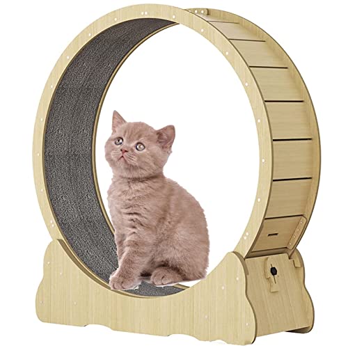 Katzenlaufrad, Katze Laufband Aus High Fiber Board mit Schloss, Winziger Spalt Und Leise Riemenscheiben Katzenrad, Katzenlaufband Haustier Spielzeug,Woodcolor-L von SSQUZA