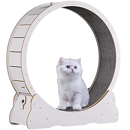 Katzenlaufrad,Katzenspielzeug, Kätzchenspielzeug, Indoor-Katzenspielzeug mit Schloss, Winziger Spalt Und Leise Riemenscheiben Katzenrad, Katzenlaufband Haustier Spielzeug,White-XL von SSQUZA