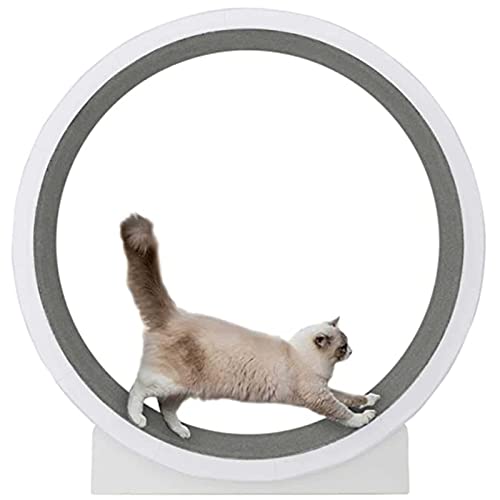 SSQUZA Katzen laufrad Wheel laufräder für Katzen Katzen laufrad drinnen Haustierfreundliches Katzenlaufband mit Austauschbarer Laufbahn,für Katzen Aller von SSQUZA