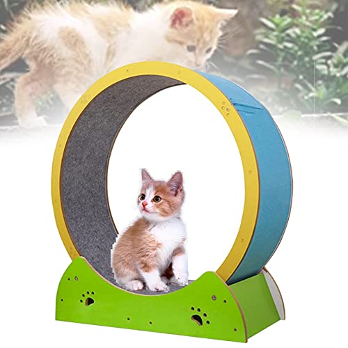 SSQUZA Katzenlaufrad Katze Rad Übung Laufband Leise, Kleine Mittlere Große Katze Laufband Räder Katze Laufen Rad Spielzeug, Indoor-Katzenlaufrad für Kätzchen Haustiere von SSQUZA