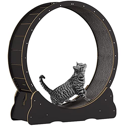 SSQUZA katzenlaufrad Hölzernes Katzenübungs-Riesenrad, Haustierfreundliches Katzenlaufband, Indoor-Katzenlaufrad, Winziger Spalt und Leise Riemenscheiben,Black-L von SSQUZA