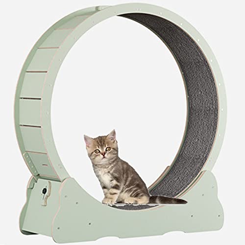 SSQUZA katzenlaufrad Hölzernes Katzenübungs-Riesenrad, Haustierfreundliches Katzenlaufband, Indoor-Katzenlaufrad, Winziger Spalt und Leise Riemenscheiben,Green-L von SSQUZA