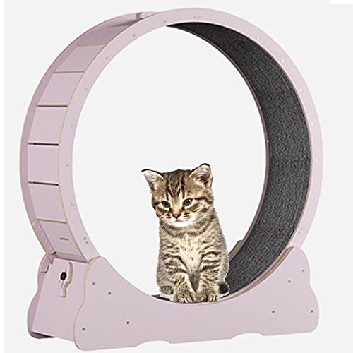 SSQUZA katzenlaufrad Hölzernes Katzenübungs-Riesenrad, Haustierfreundliches Katzenlaufband, Indoor-Katzenlaufrad, Winziger Spalt und Leise Riemenscheiben,Pink-L von SSQUZA