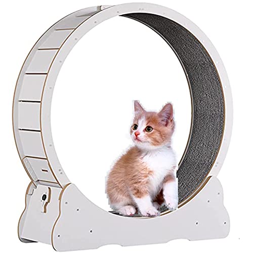 SSQUZA katzenlaufrad Hölzernes Katzenübungs-Riesenrad, Haustierfreundliches Katzenlaufband, Indoor-Katzenlaufrad, Winziger Spalt und Leise Riemenscheiben,White-M von SSQUZA