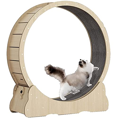 SSQUZA katzenlaufrad Hölzernes Katzenübungs-Riesenrad, Haustierfreundliches Katzenlaufband, Indoor-Katzenlaufrad, Winziger Spalt und Leise Riemenscheiben,Woodcolor-L von SSQUZA