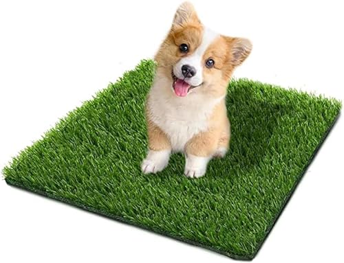 SSRIVER 50*60CM Künstlicher Grasteppich Hunde Rasenteppich für Wiederverwendbare Hundetoiletten Hundetoilette aus Kunstrasen für das Training Ihres Welpen Geeignet für den Innen- und Außenbereich von SSRIVER