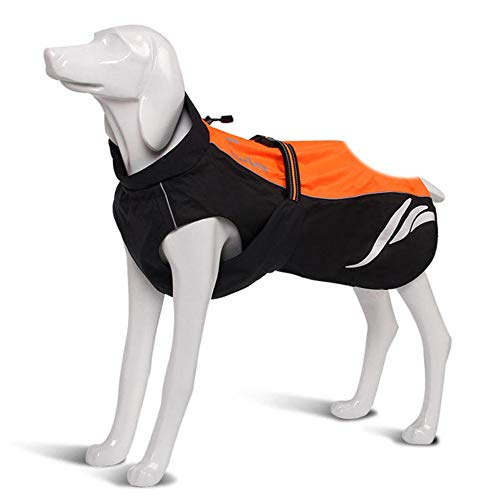 Truelove Hundemantel, wasserdicht, reflektierend, gestreift, Nylon, für jedes Wetter, Orange, 24 cm lang von SSXCO