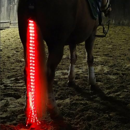 SSZYace Horse Equipment Reiten Schwanz Trappings Equestrian LED Flashing Light Bar Harness Outdoor Sports USB Charge Reiten Dekorationen (Rot) von SSZYace