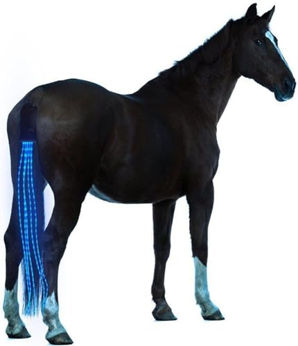 SSZYace Horse Equipment Reiten Schwanz Trappings Equestrian LED Flashing Light Bar Harness Outdoor Sports USB Charge Reiten Dekorationen (blau) von SSZYace