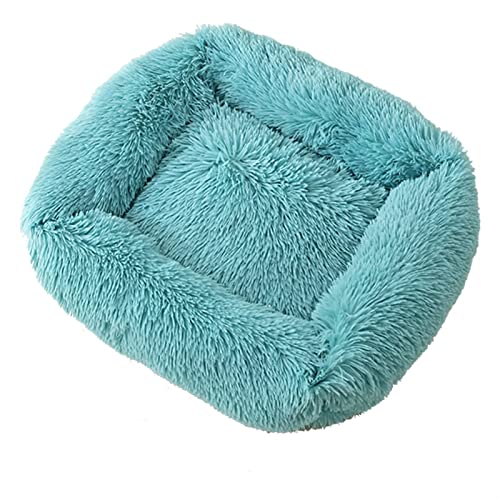 SSxgslbh Hundebett, quadratisch, einfarbig, für kleine, mittelgroße und große Hunde, warmes Katzen- und Hundezubehör (Farbe: Hellblau, Größe: M 65 x 55 cm) von SSxgslbh