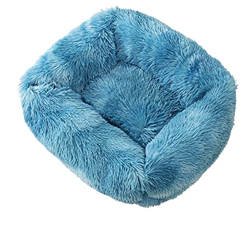 SSxgslbh Hundebett, quadratisch, einfarbig, für kleine, mittelgroße und große Hunde, warmes Katzen- und Hundezubehör (Farbe: buntes Blau, Größe: M 65 x 55 cm) von SSxgslbh