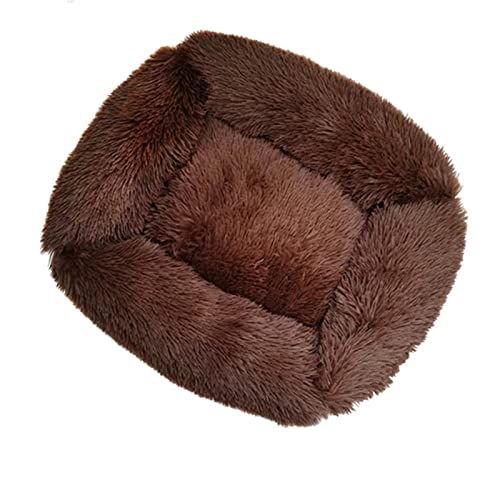 SSxgslbh Hundebett, quadratisch, einfarbig, für kleine, mittelgroße und große Hunde, warmes Katzen- und Hundezubehör (Farbe: dunkles Kaffeebraun, Größe: L 80 x 70 cm) von SSxgslbh