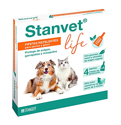 Stangest Stanvet Life Pipetten Box 4 U 1 Einheit 200 g von STANGEST