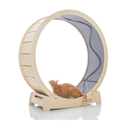 STAR CATWHEEL Laufband für Katzen, Laufrad zum Laufen, Drehen, Kratzen und Klettern für Hauskatzen, hochwertiges Birkenholz, umweltfreundlich, beweglicher Fisch, breite Laufbahn, 119,4 cm, XL-Größe von STAR CATWHEEL