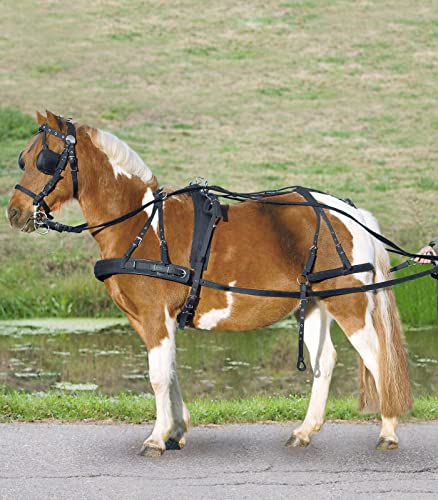 Einspänner Synthetikgeschirr, Pony und Shetty Einspänner Synthetikgeschirr, Pony und Shetty von Star