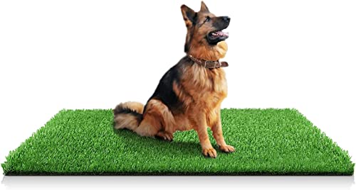 STARROAD-TIM 100 x 150 cm Wiederverwendbare Hundetrainingspads Kunstrasen Teppich Rasen für Hunde Indoor Outdoor Kunstrasen für Hunde Töpfchen Trainingsbereich Terrasse Rasen Dekoration von STARROAD-TIM