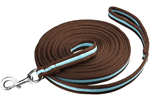 Start Longierleine für Reitsport Longe Pferd 8m Softlonge aus Nylon, Pferdelonge mit Handschlaufe, Schleppleine, Zügel mit Karabiner, Bodenarbeitsseil Pferd (Braun/Türkis) von START ENJOY THE RIDE