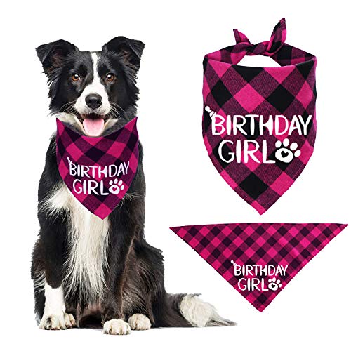 STMK Hund Geburtstag Bandana, Hund Geburtstag Mädchen Bandana Dreieckstuch für Hund Welpen Geburtstag von STMK