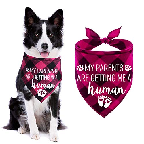 STMK My Parents are Getting Me A Human Plaid Hundehalstuch, Schwangerschaftsankündigung, Plaid Hundehalstuch, Babyankündigung, Hundehalstuch, Gender Reveal Foto Prop für Hund Welpe (Pink) von STMK