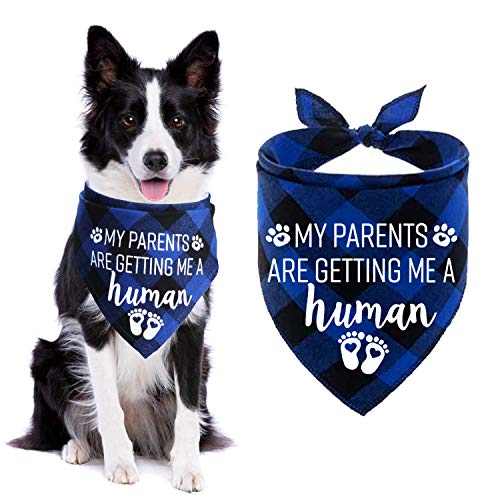 STMK My Parents are Getting Me A Human Plaid Hundehalstuch, Schwangerschaftsankündigung, Plaid Hundehalstuch, Babyankündigung, Hundehalstuch, Gender Reveal Foto Prop für Hund Welpe (blau) von STMK