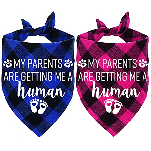 STMK My Parents are Getting Me A Human Plaid Hundehalstuch, Schwangerschaftsankündigung, Plaid Hundehalstuch, Babyankündigung, Hundehalstuch, Gender Reveal Foto Prop für Hund Welpe (blau & rosa) von STMK