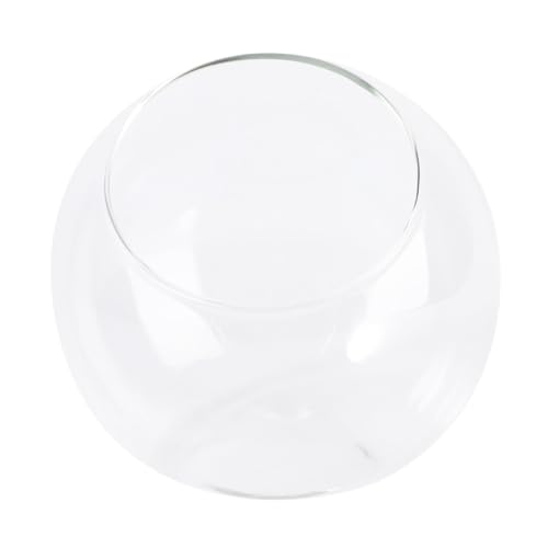 STOBAZA Kleiner Glasflasche Terrarium Für Mikro Landschaften Selbstgemacht Dekorationsbehälter Aus Glas ø 15cm Langlebig Und Bruchsicher Für Pflanzen Und Kreative Arrangements STOBAZA Kleiner Glasflasche Terrarium Für Mikro Landschaften Selbstgemacht Dekorationsbehälter Aus Glas ø 15cm Langlebig Und Bruchsicher Für Pflanzen Und Kreative Arrangements von STOBAZA