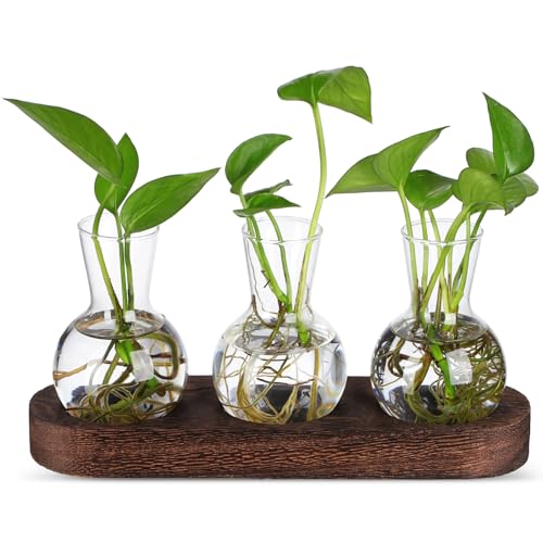 STOBOK 1 Set Hydroponic Glass Vase Clear Flower Vase Desktop Glass Pflanzer Ausbreitung Behälter Tischplatte Herzstück Wohnkultur von STOBOK