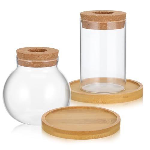 STOBOK 2 Pcs Glas Pflanzer Glasvase Hydroponische Pflanze Vase Hydroponische Pflanze Vasen Dekorative Glasschale Für Wohnzimmer -Ausbreitungsstation von STOBOK