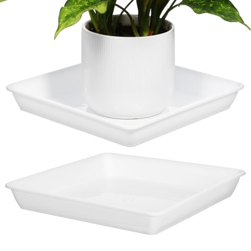 STOBOK 2Pcs Pflanzentabletttablettsaucer Pflanzenkabine Entwässerungsschale Planter Wasserfänger Quadratschild Pflanze Wasserschalen Blumenartikel Basis von STOBOK