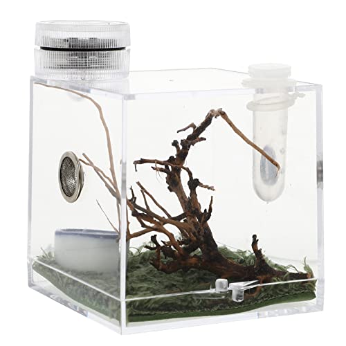 STOBOK Reptilien Terrarium Transparentes Insekten- Tarantula- Gehäuse Panzer Schnecken Spinnen Lebensraum Cage Critter Keeper Insektenträger Acrylreptilien Isopoden Eidechsen von STOBOK