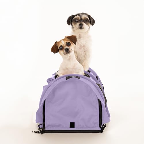 SturdiBag Pro 2.0 Geteilte Haustier-Tragetasche mit flexibler Höhe für Katzen und Hunde, weiche Seiten, Haustier-Tragetasche mit Sicherheitsclips und Sicherheitsgurten, für Flugzeug- oder Autoreisen, von STURDI PRODUCTS