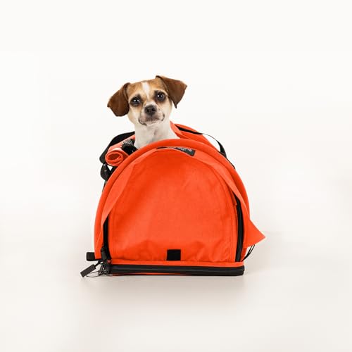 SturdiBag Pro 2.0 Haustier-Tragetasche für Katzen und Hunde, weiche Seiten, Haustier-Tragetasche mit Sicherheitsclips und Sicherheitsgurtgurten, für Flugzeug- oder Autoreisen, klein, Orange von STURDI PRODUCTS