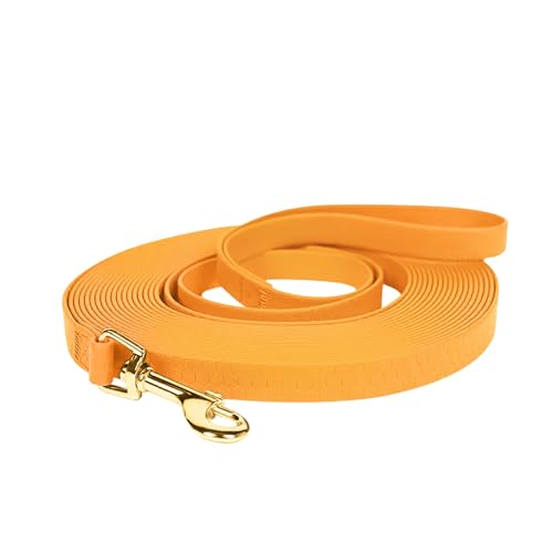 Lange Leine, wasserdicht, lange Hundeleine, Outdoor-Hundeleine, strapazierfähig, ideal für Training, Strand, Hof, Spielen, Camping (2,2 cm x 3 m) von STYUKIMO