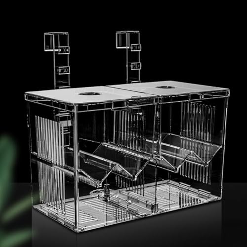 Aquarium Züchter Box Isolation Brutkasten Futterboxen für kleine Fische Fry Hatchery von SUAOEO