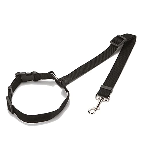 SUICRA-Halsband für Hunde. Tracking-Halsband für Hunde Pet Car Seat Belt Rope Ring Dog Car Retractable Elastic Reflector Leash Dog (Color : B) von SUICRA