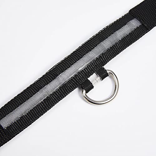 SUIOPPYUW Haustier Halsband LED Wiederaufladbare Unfall Anti Verlust Lichter Tiere Halsbänder Sicherheitsaktivitäten USB Aufladung für Tag und Nacht, Batterie Weiß, XL von SUIOPPYUW