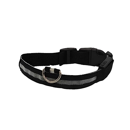 SUIOPPYUW Haustier Halsband LED Wiederaufladbare Unfall Anti Verlust Lichter Tiere Halsbänder Sicherheitsaktivitäten USB Aufladung für Tag und Nacht, Batterie bunt, S von SUIOPPYUW