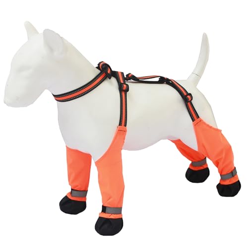 Antislip Haustier Hund Stiefel Hosenträger Hund Outdoor Schuhe Pfotenschutz Für Gehen Hundeschuhschuhschuhe Wanderschuhe Tierpfoten Protektor Antislip Haustier Hund Stiefel Hosenträger Hund Outdoor Schuhe Pfotenschutz Für Gehen Hundeschuhschuhschuhe Wanderschuhe Tierpfoten Protektor von SUMMITDRAGON