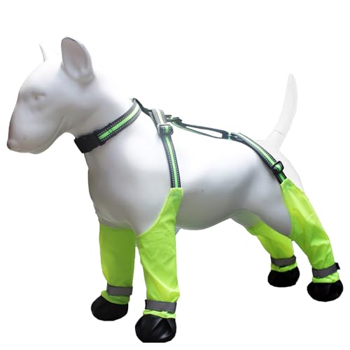 Antislip Haustier Hund Stiefel Hosenträger Hund Outdoor Schuhe Pfotenschutz Für Gehen Hundeschuhschuhschuhe Wanderschuhe Tierpfoten Protektor Antislip Haustier Hund Stiefel Hosenträger Hund Outdoor Schuhe Pfotenschutz Für Gehen Hundeschuhschuhschuhe Wanderschuhe Tierpfoten Protektor von SUMMITDRAGON