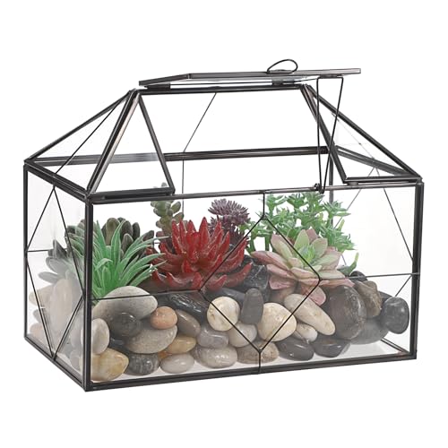 SUMTree Pflanzterrarium aus schwarzem Glas mit quadratischem Gitter, Gartenmoosbehälter mit Schwingdeckel, Luftpflanzen-Displaybox für Sukkulenten, Glas-Rechteck Innenluftpflanzenbehälter, Schwarz von SUMTree