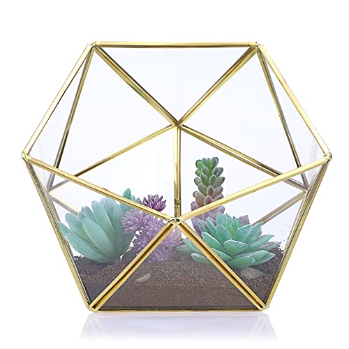 SUMTree Gold Glas Terrarium Geometrisches Gewächshaus Dekorative Pflanzenbehälter für Luftpflanzen, Sukkulenten, Moos, Farn, Kaffeepad/Teebeutelhalter, Miniatur-Feengartenbehälter, Pentadecaeder von SUMTree