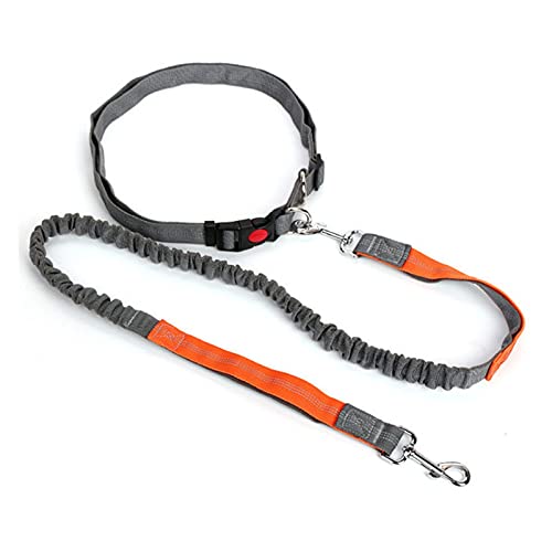 Zugseil für Haustiere Einziehbare Hundeleine mit Verstellbarer Taille Seil Lauf Jogging Radfahren Walking Dog Pet Supplies Zubehör Hundeleine für Welpen (Color : 02) von SUNESA