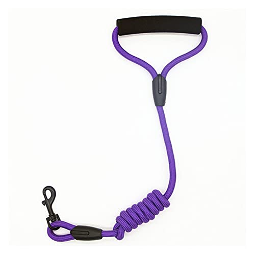 Zugseil für Haustiere Hundeleine Kragensitzgürtel personalisierte laufende Katze Haustiere Leinen Seil Nylon Harness Kabelbaum for Chihuahua 7 Farben 4 Größen Hundeleine für Welpen (Color : Purple, von SUNESA