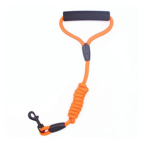 Zugseil für Haustiere Hundeleine Kragensitzgürtel personalisierte laufende Katze Haustiere Leinen Seil Nylon Harness Kabelbaum for Chihuahua 7 Farben 4 Größen Hundeleine für Welpen (Color : Oranje, von SUNESA