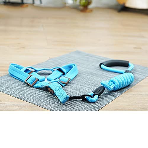 Zugseil für Haustiere Katzengeschirr und Leine zum Wandergurt ideal for Leine Kabelbaum Training Haltestellen Haustiere vom Ziehen und Ersticken auf Spaziergängen Hundeleine für Welpen (Size : L) von SUNESA