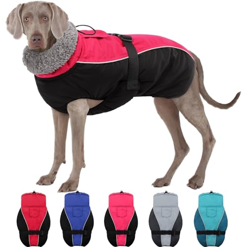 SUNFURA Hundemantel für kaltes Wetter, reflektierend, winddicht, Winterjacke, Kleidung mit warmem Fleecefutter und Pelz, hoher Kragen für kleine, mittelgroße und große Hunde, Outdoor-Weste mit Leine von SUNFURA