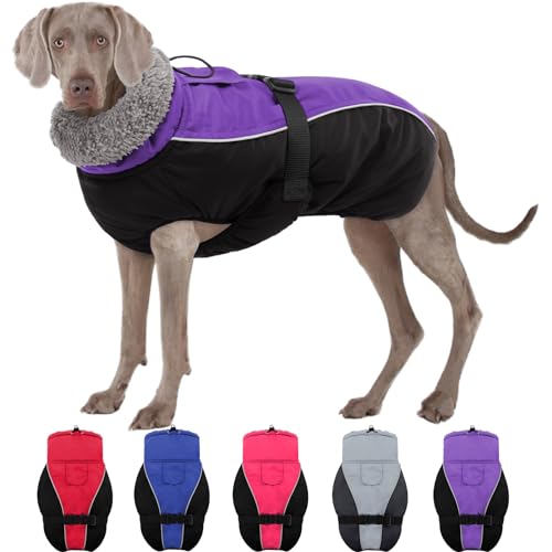 SUNFURA Hundemantel für kaltes Wetter, reflektierend, winddicht, Winterjacke, Kleidung mit warmem Fleecefutter und Pelz, hoher Kragen für kleine, mittelgroße und große Hunde, Outdoor-Weste mit Leine von SUNFURA