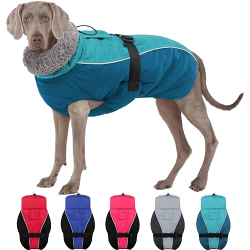 SUNFURA Warmer Hundemantel Hundejacke, reflektierender Hund Wintermäntel mit Verstellbarer Schnalle, Rollkragen Gepolsterte Hundefleeceweste Winddichte wasserdichte Hundeschneejacke für Kleine Mittel von SUNFURA