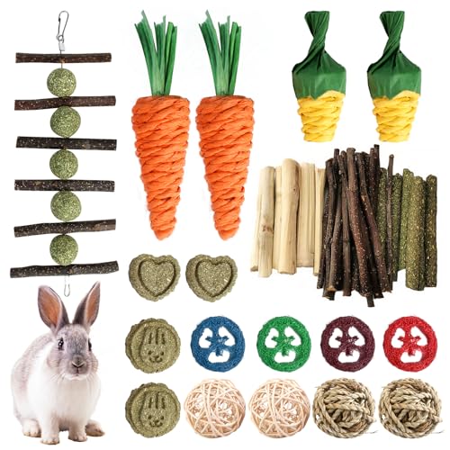 SUNOYA 20 Stück Kaninchen Spielzeug, Hamster Spielzeug, Meerschweinchen Spielzeug, Kleintiere Kauspielzeug Spielzeug Meerschweinchen Zubehoer Für Kleintiere Hamster Kaninchen Chinchilla Rennmäuse von SUNOYA