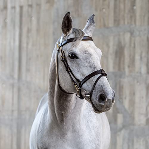 Sunride englisch kombinierte Trense Berlin mit Zügel, aus weichem Echtleder mit Clip-Verschluss, verstellbar und anatomisch (Pony, braun) von SUNRIDE